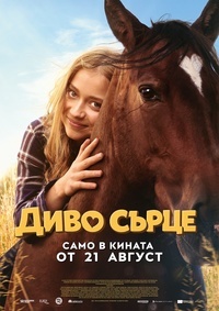 Диво Сърце